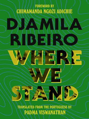 cover image of Where We Stand